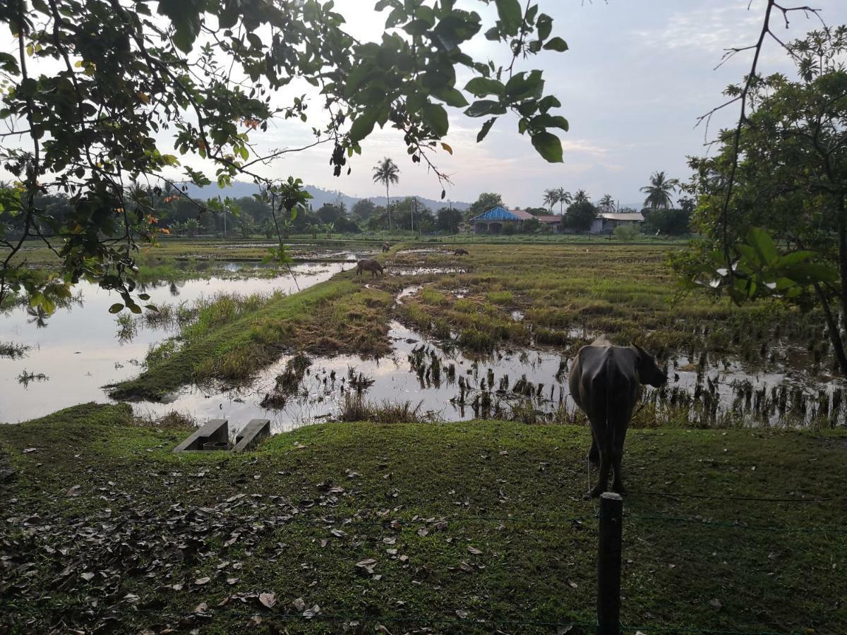 Homestay Barakah Cenang Langkawi 판타이체낭 외부 사진